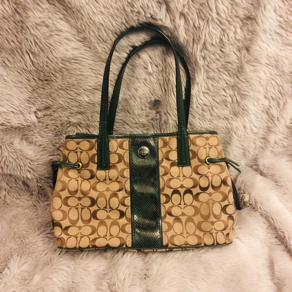 Coach F24882 Signature Python Stripe Jacquard Tote